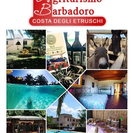 Agriturismo Barbadoro 圣温琴佐 外观 照片