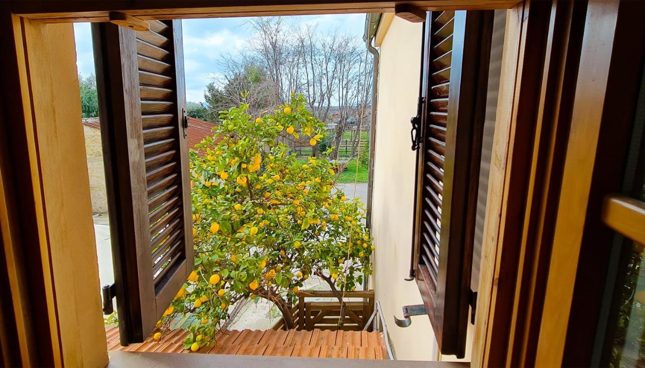 Agriturismo Barbadoro 圣温琴佐 外观 照片