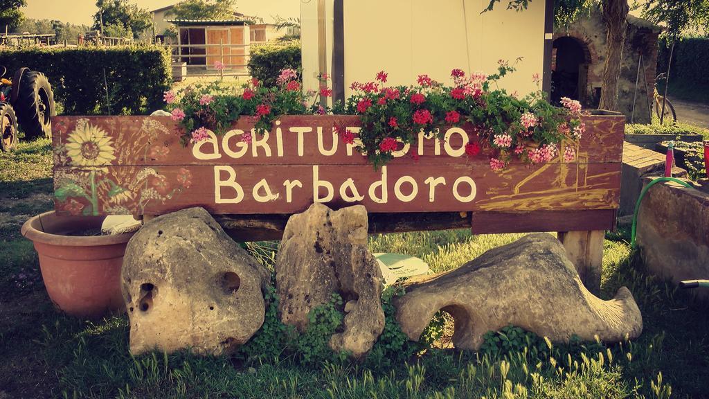 Agriturismo Barbadoro 圣温琴佐 客房 照片