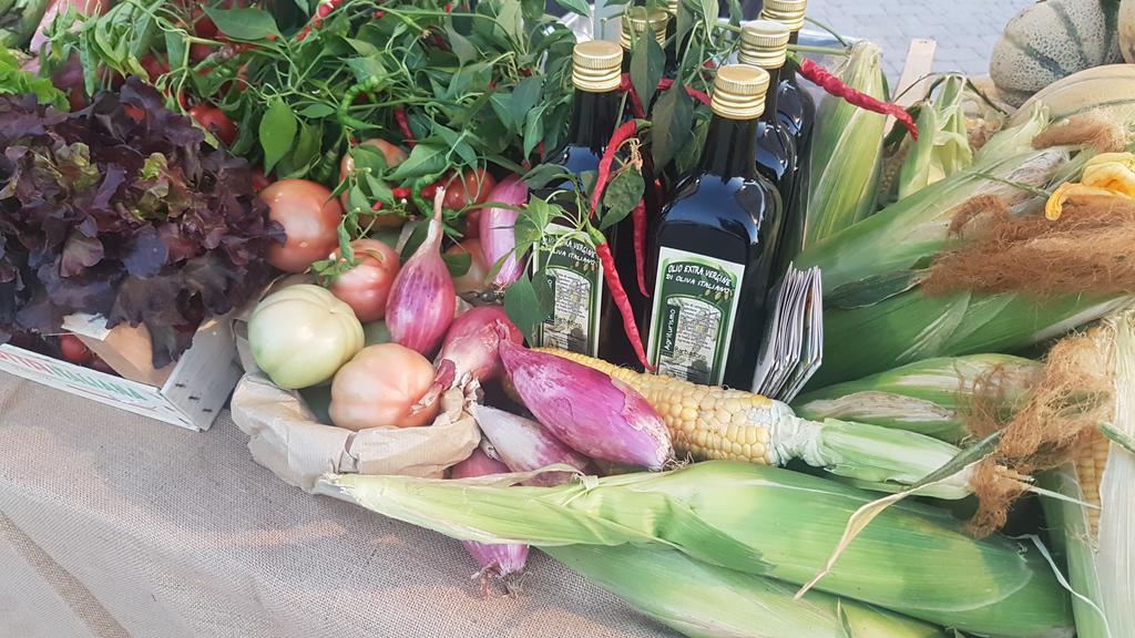 Agriturismo Barbadoro 圣温琴佐 外观 照片